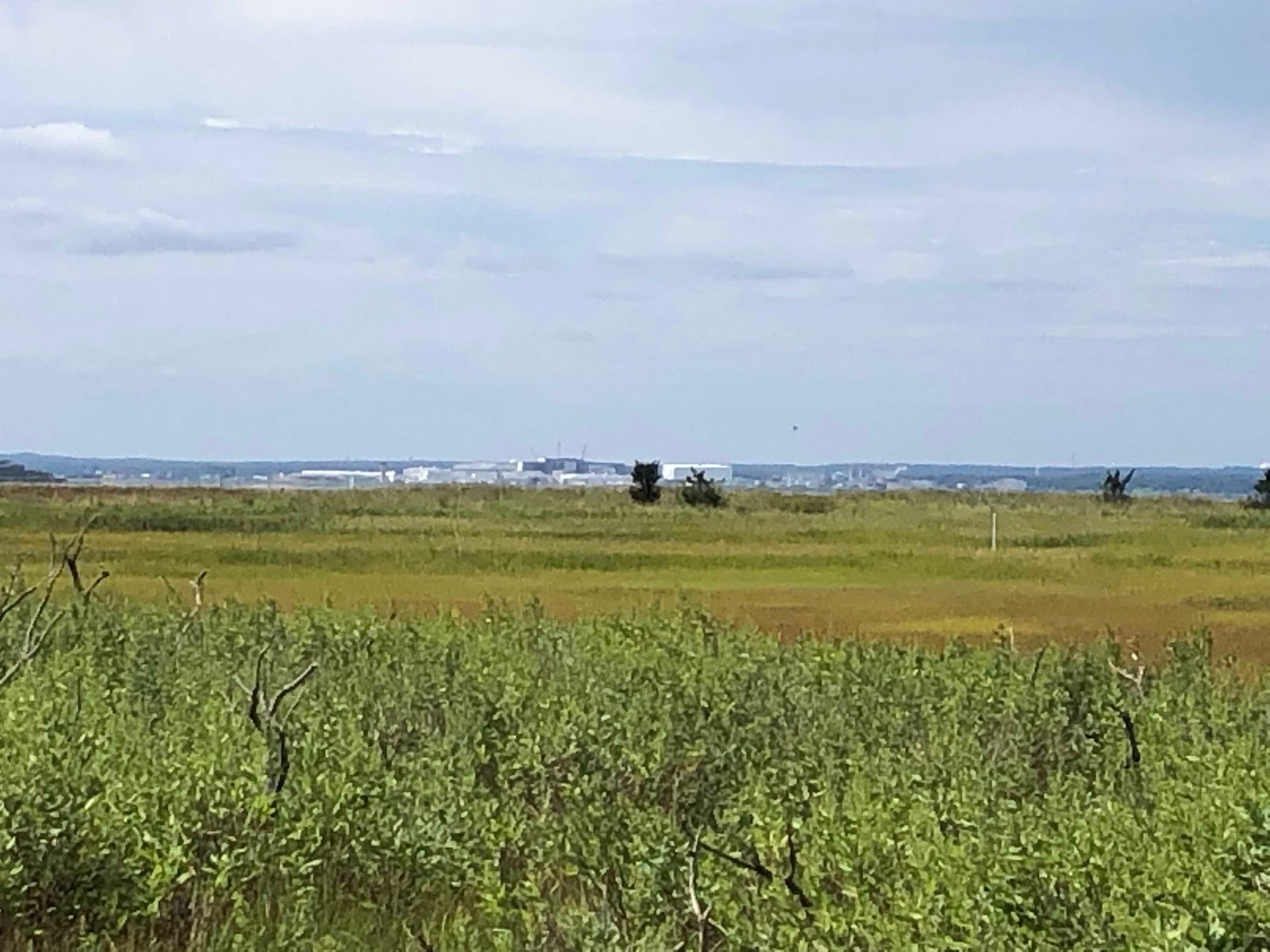 ILENE THE BOAT August 26 To Potter Cove on Prudence Island