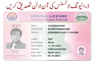 driving-license-verification