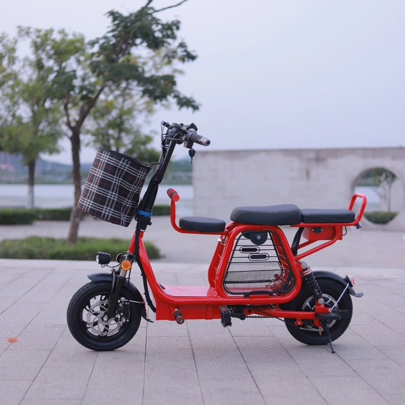 Alibaba's Inexpensive EBike, 3 Seats