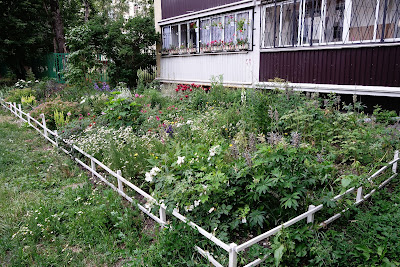 improvised urban ground by the side of an apartment block