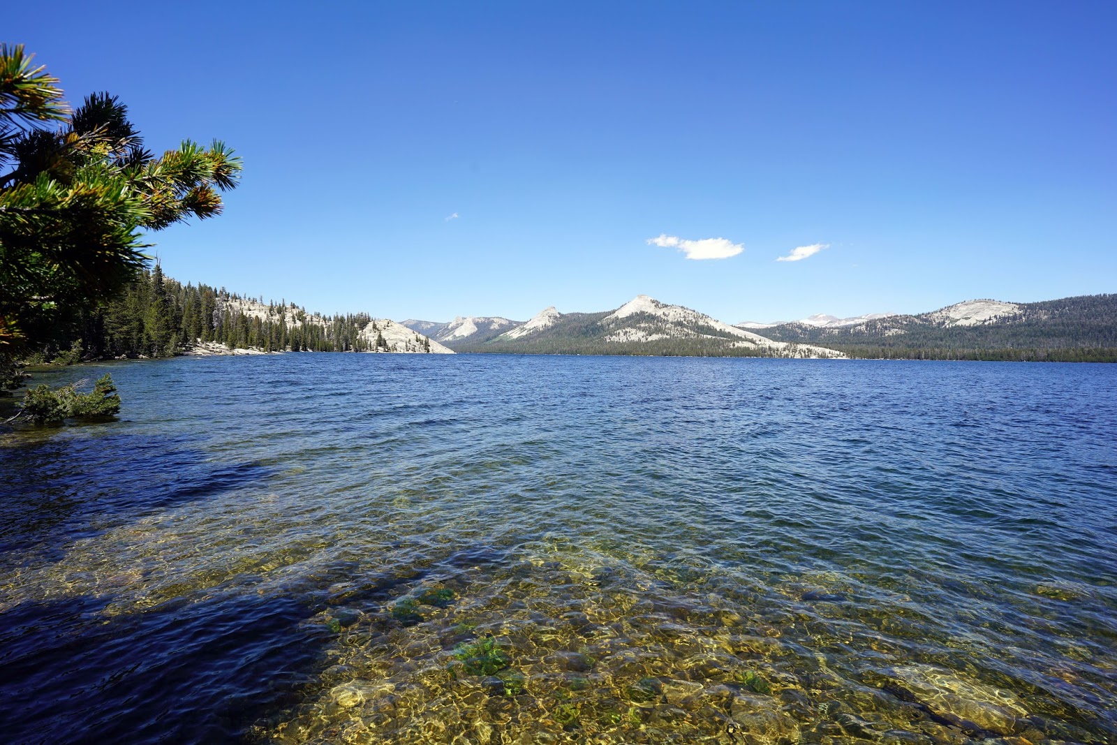 Mid Sierra Musings Courtright Reservoir June 2017