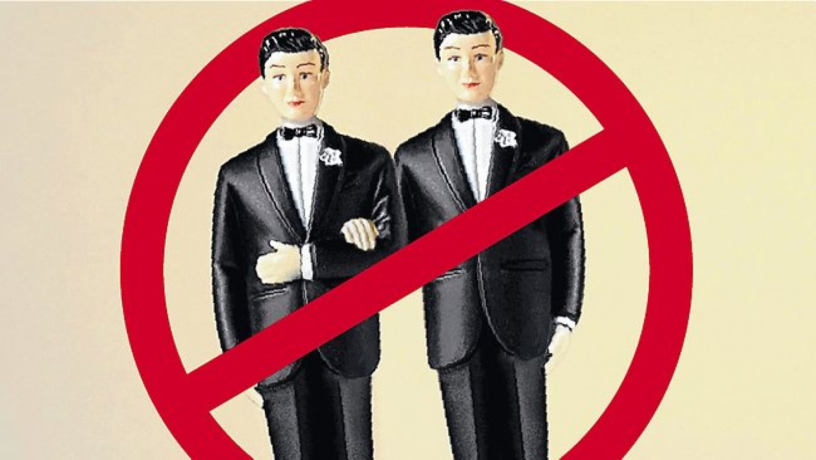 Запрет на брак 10. Против однополых браков. Однополые браки запрещены. Однополые браки и гомосексуализм. Запрет однополых браков картинки.