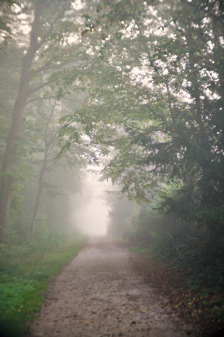 Herbstnebel