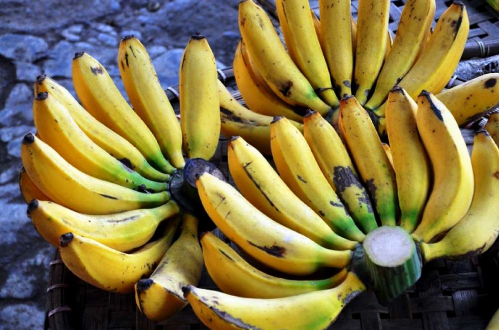 Fungsi Pisang Raja untuk Lamaran dan Pernikahan - Njajan.com