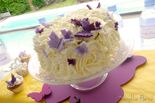 gâteau papillon / butterfly cake