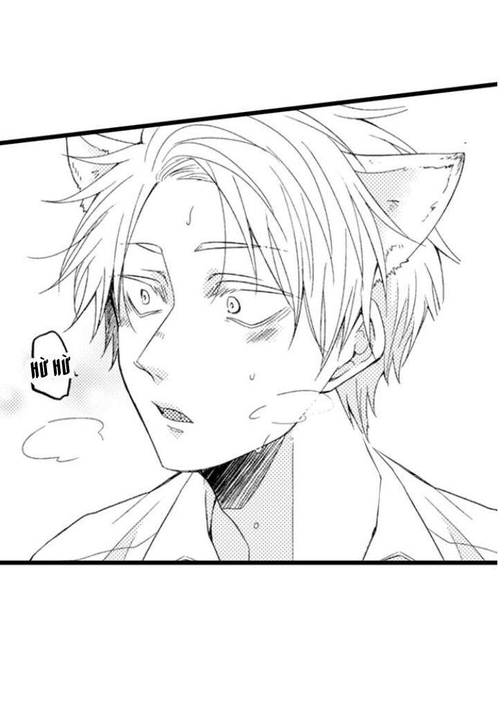 Đọc truyện Ai Muốn Được Yêu Thương Nào - Chapter 3