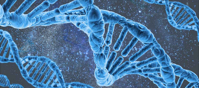 ADN y genetica