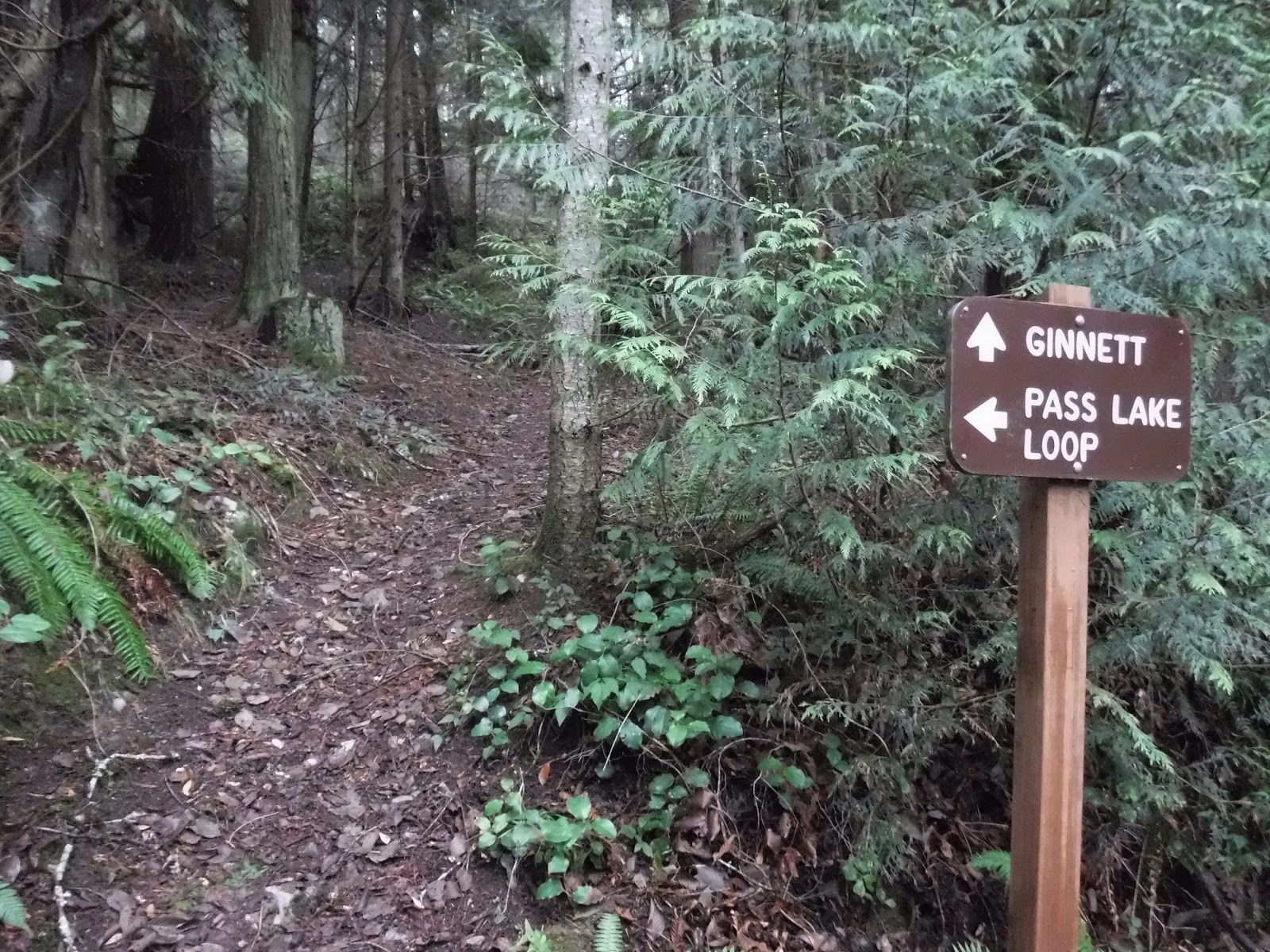 Hears Different Drummer Bowman Bay hike