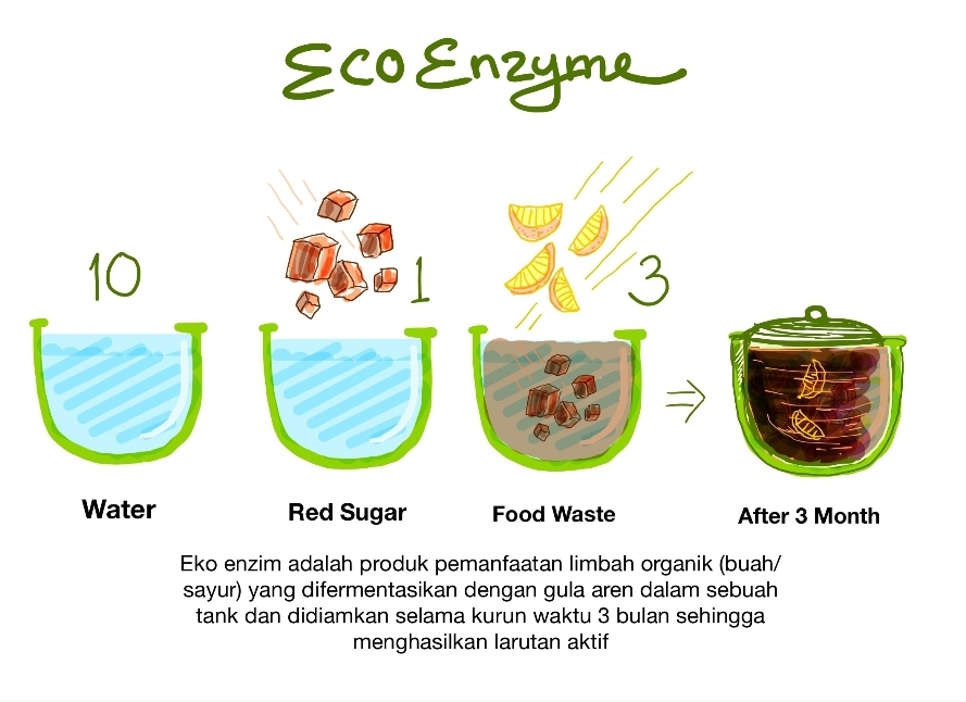 Eco enzim adalah