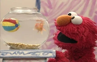 Dorothy has a colorful sea ball in her bowl. Dorothy asks, how do you catch a ball. Elmo's World Balls Dorothy's Question