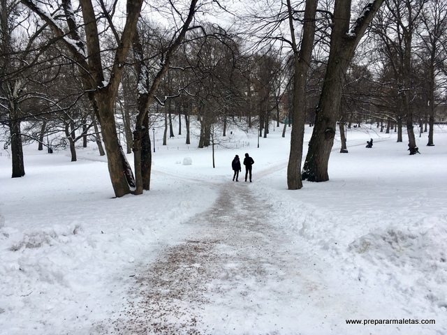 parques de Oslo nevados en invierno