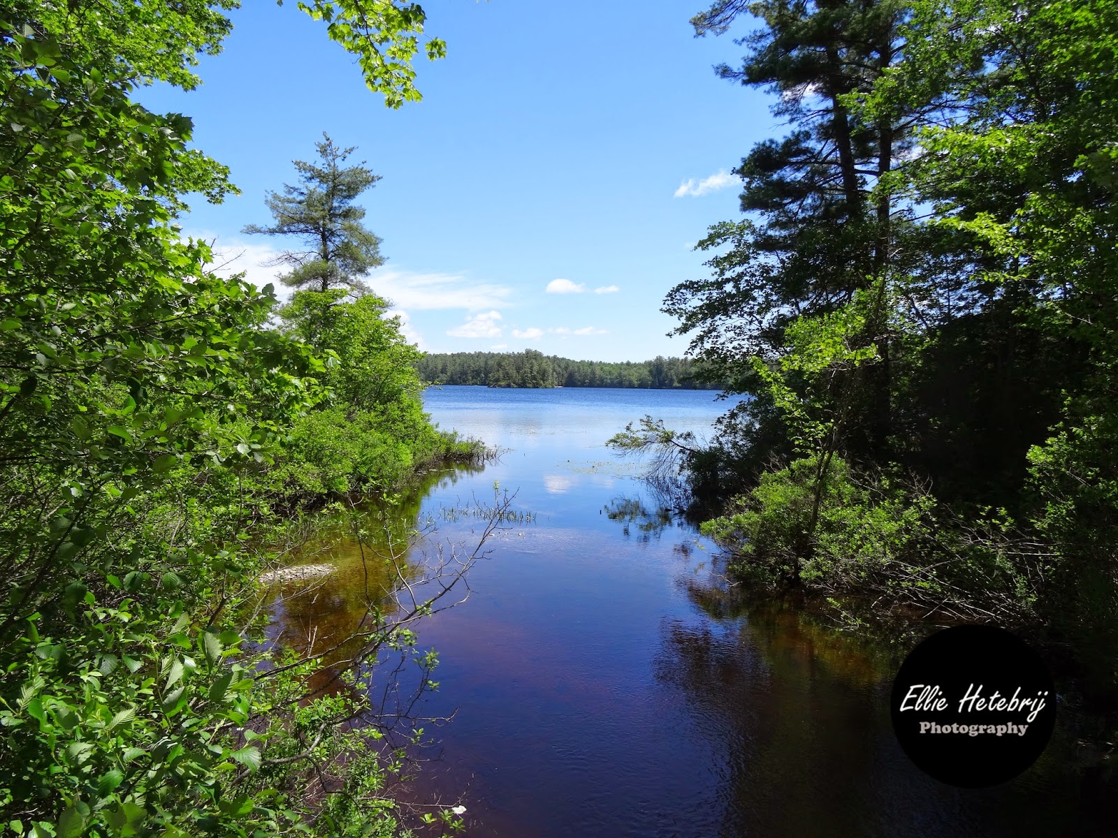 Ellie Hetebrij, The Photographer 350 Island Pond Road