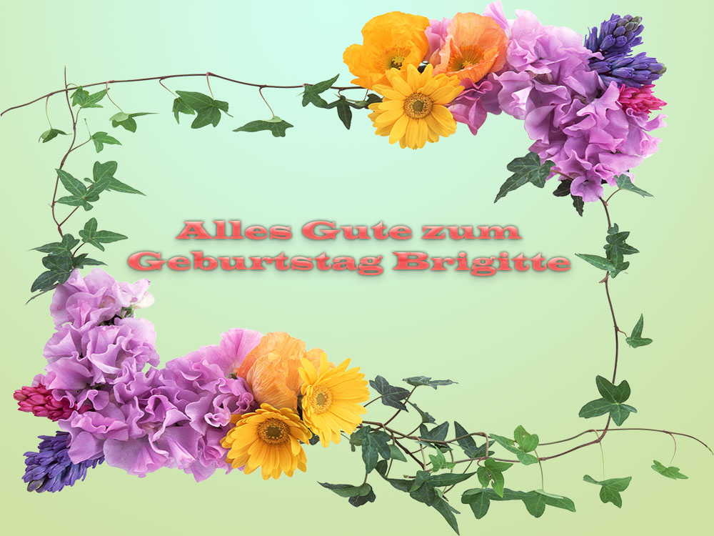Alles Gute zum Geburtstag Alles Gute zum Geburtstag Brigitte