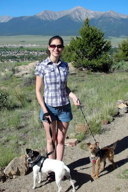 Hiking with dogs