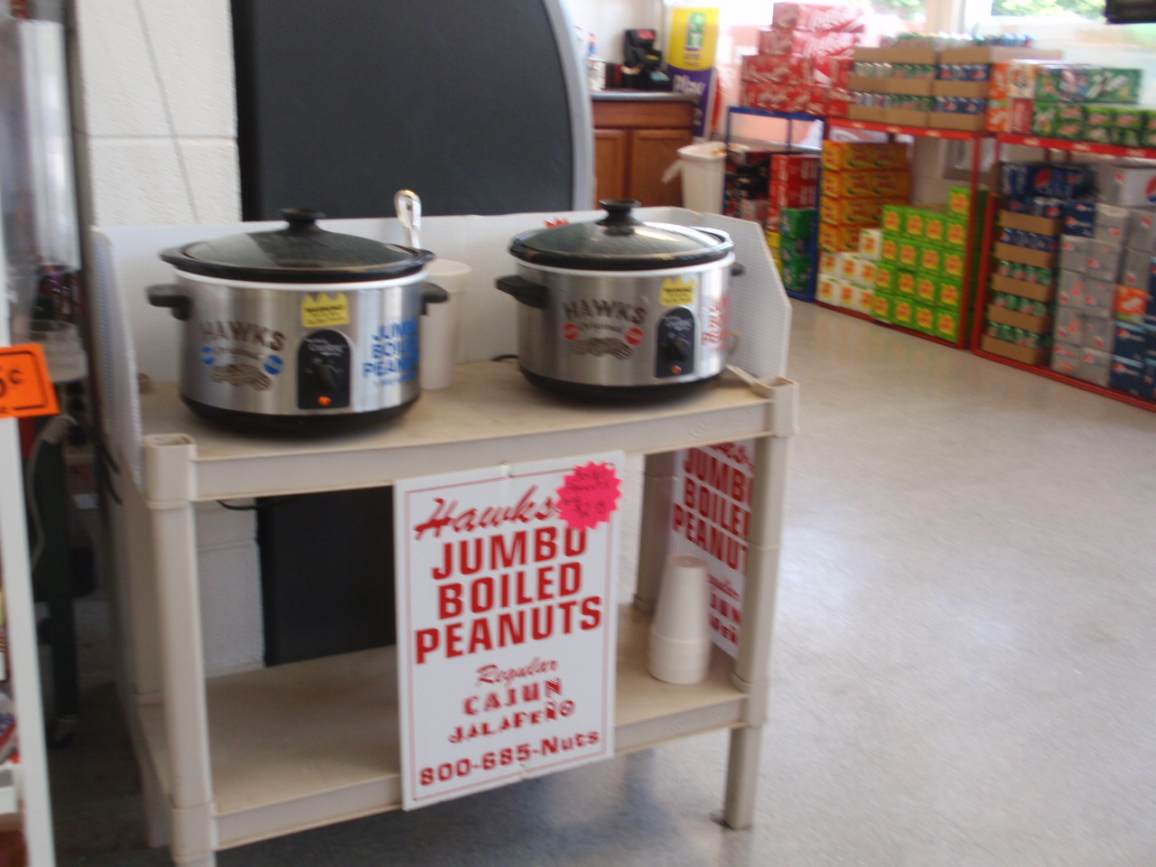 A picture tells a story... Day 4 A day on the road