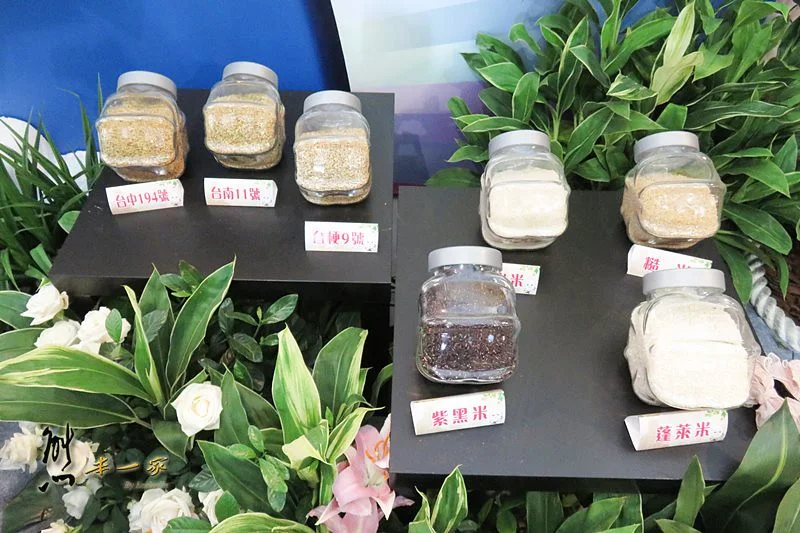 新社花海|中台灣農業博覽會