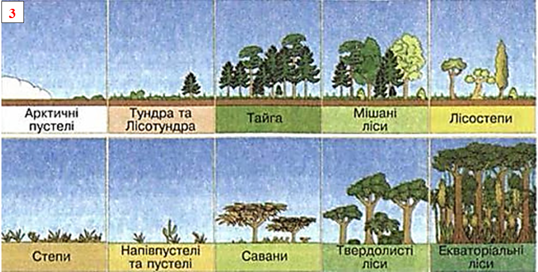 Евразия зональные и азональные природные комплексы. Зональные природные комплексы. Зональные компоненты природных комплексов. Зональные и азональные природные зоны. Природно-территориальный комплекс зональные и азональные.