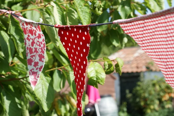 The Bunting Project