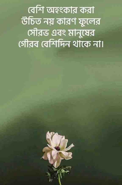 Attitude Quotes in Bangla,Attitude Bangla Ukti Bani