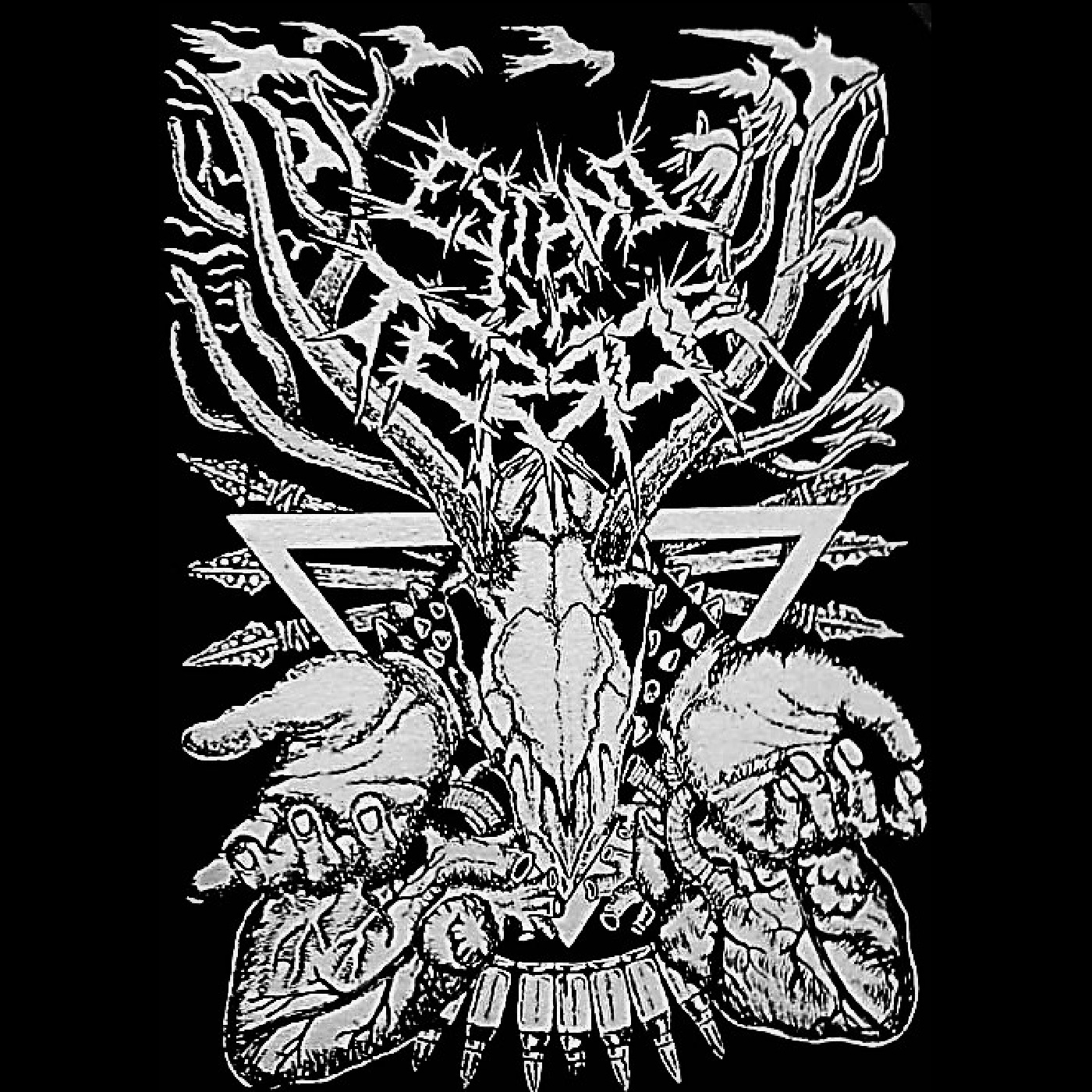 grindcore crust from Mexico 