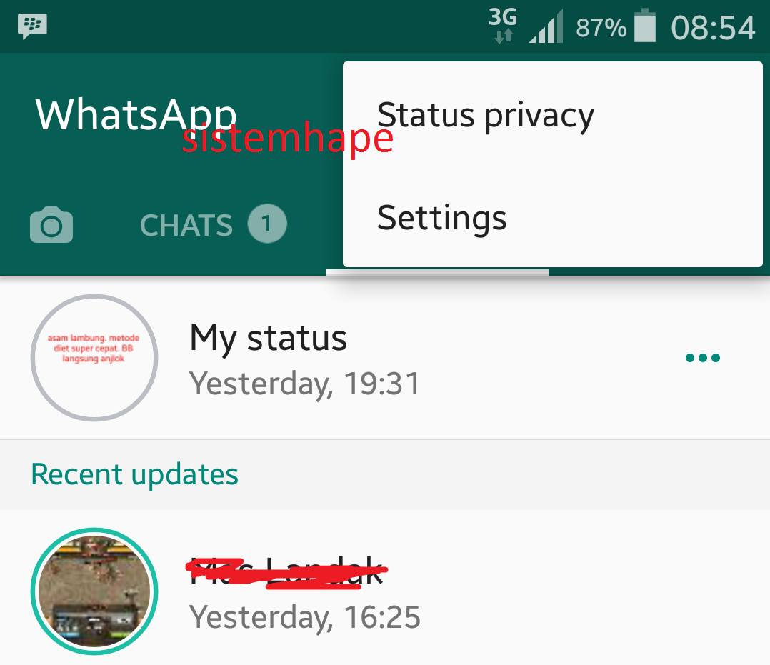 Kenapa Status Di WhatsApp Tidak Bisa Tampil Tidak Bisa Melihat