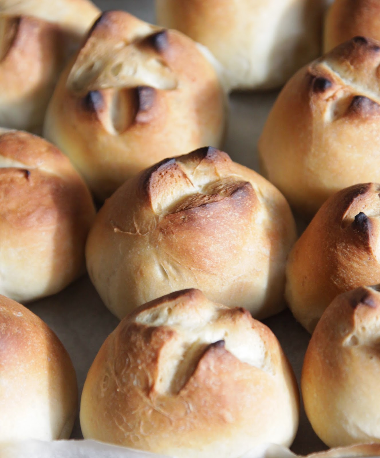 Crusty Dinner Rolls