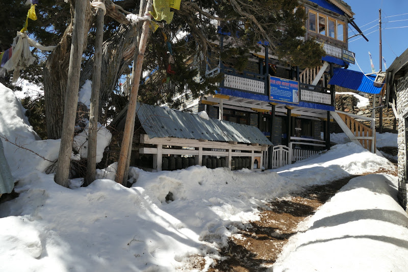 Погода в Непале