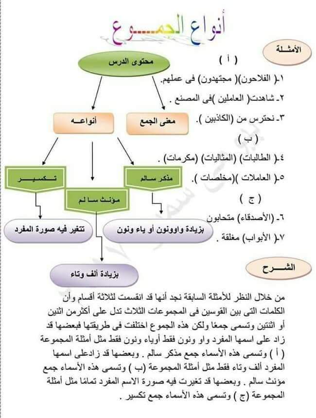 بزيادة ونون أو مفرده على من اثنين ياء ونون يدل على واو أكثر اسم أقسام الاسم