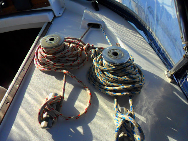 [Imagen: SAM_2537.JPG]