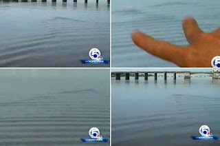 Criatura estranha de lago pode virar cidadão oficial em cidade da Flórida