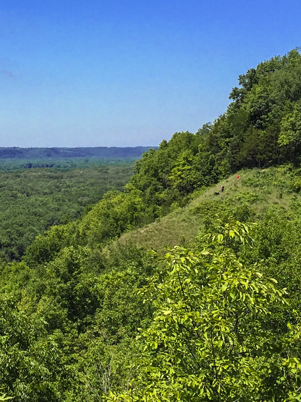The Mound Point Trail Overlooking the Mississippi Valley at Nelson Dewey State Park