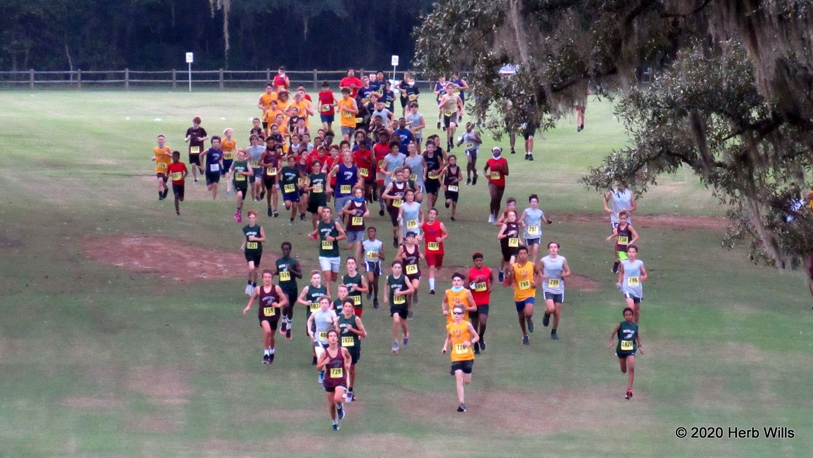 Trouble Afoot! Leon County Schools' 2021 middle school cross country