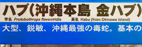 Protobothrops flavoviridis, habu, snake, sign, Japanese