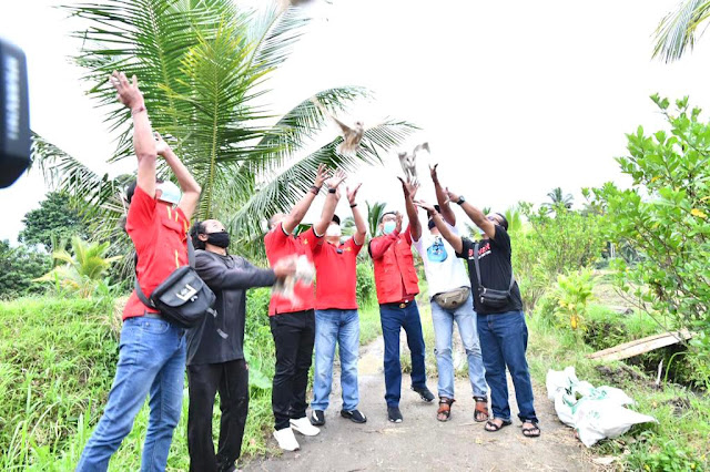 Lepas Burung Hantu untuk Basmi Hama Tikus di Tabanan Bali