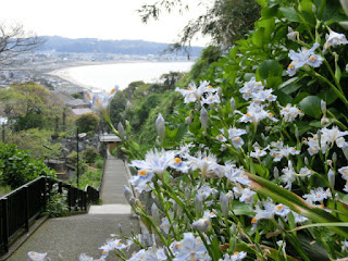 ���A�@�̃V���K