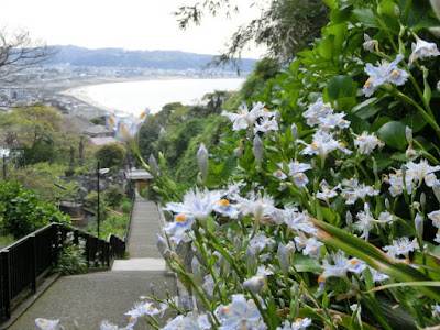 ���A�@�̃V���K