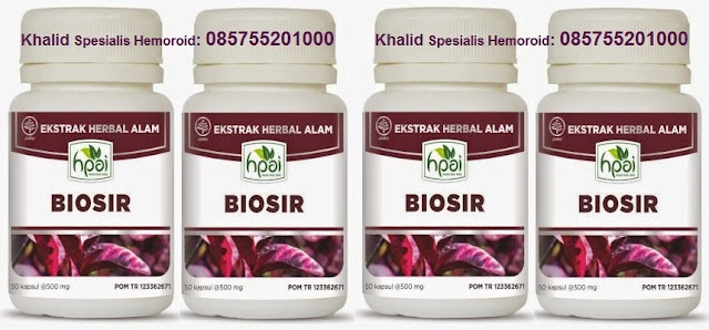 JUAL BIOSIR HPAI DI SIDOARJO | JUAL DAUN UNGU DI SIDOARJO