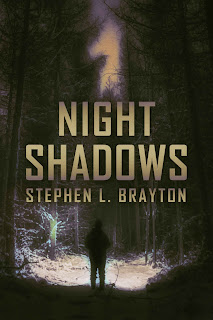 Night Shadows by Stephen L. Brayton