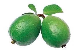 guava,  कच्चा अमरुद ही क्यों खाना चाहिए,benefit of guava