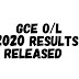 GCE O/L 2020 Results Released