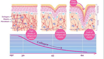 skin-ageing