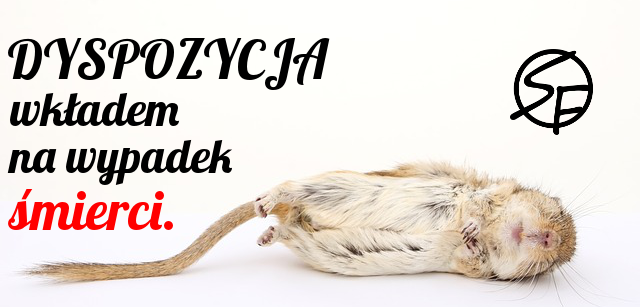 zdechła mysz