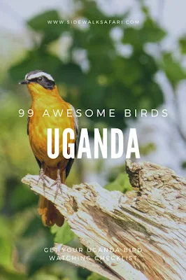 Create a Checklist of the Birds of Uganda