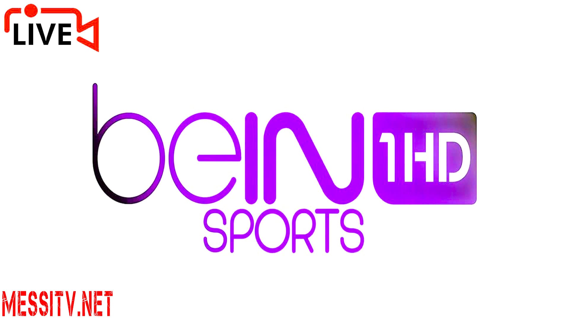HOT App Live Streaming Bein Sport 11 Sports Connect Bein Sports