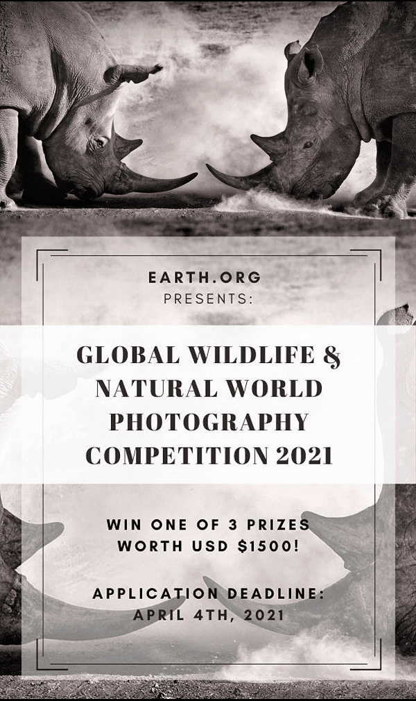 مسابقة Earth.Org العالمية للتصوير الفوتوغرافي للحياة البرية والطبيعية 2021