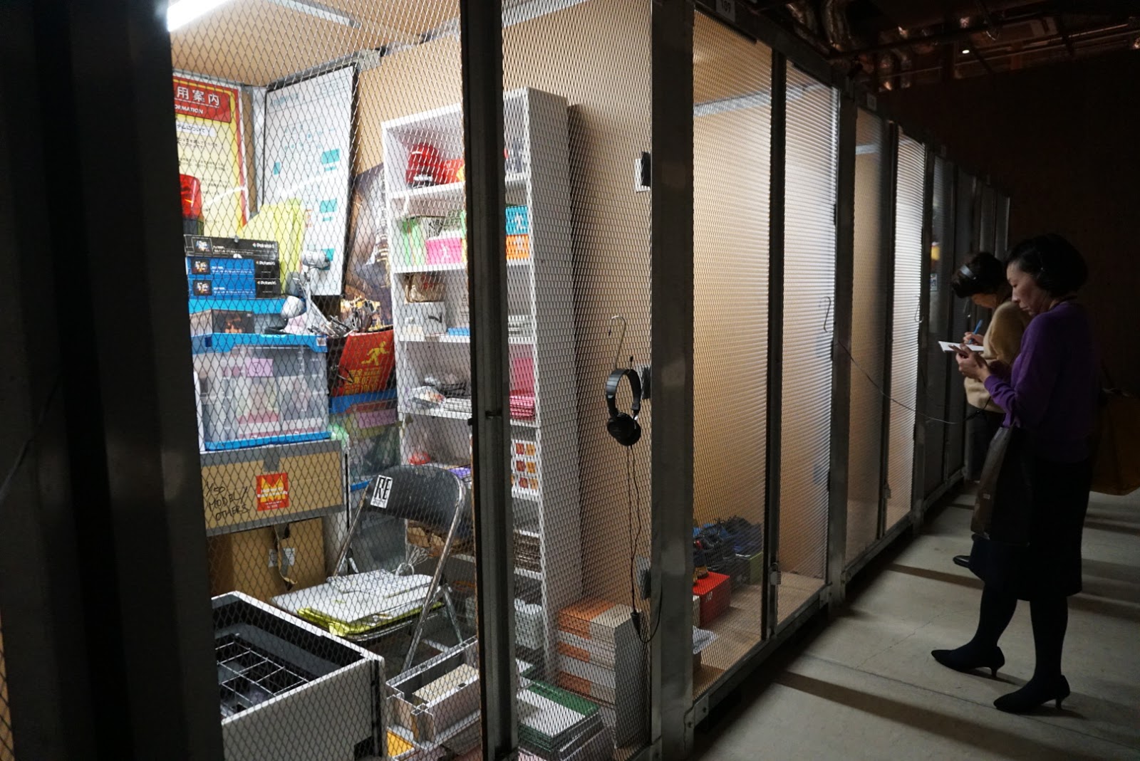 科学者は動物の体内で臓器全体を成長させることができるようになりました