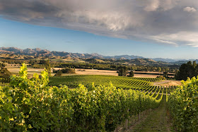 Mt. Beautiful winery New Zealand