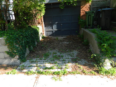 Riverdale Summer Front Garden Cleanup Before by Paul Jung Gardening Services--a Toronto Gardening Services Company Riverdale Summer Front Garden Cleanup Before by Paul Jung Gardening Services--a Toronto Gardening Services Company