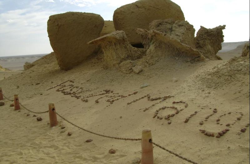 وادي الحيتان - حياة بحرية في قلب الصحراء