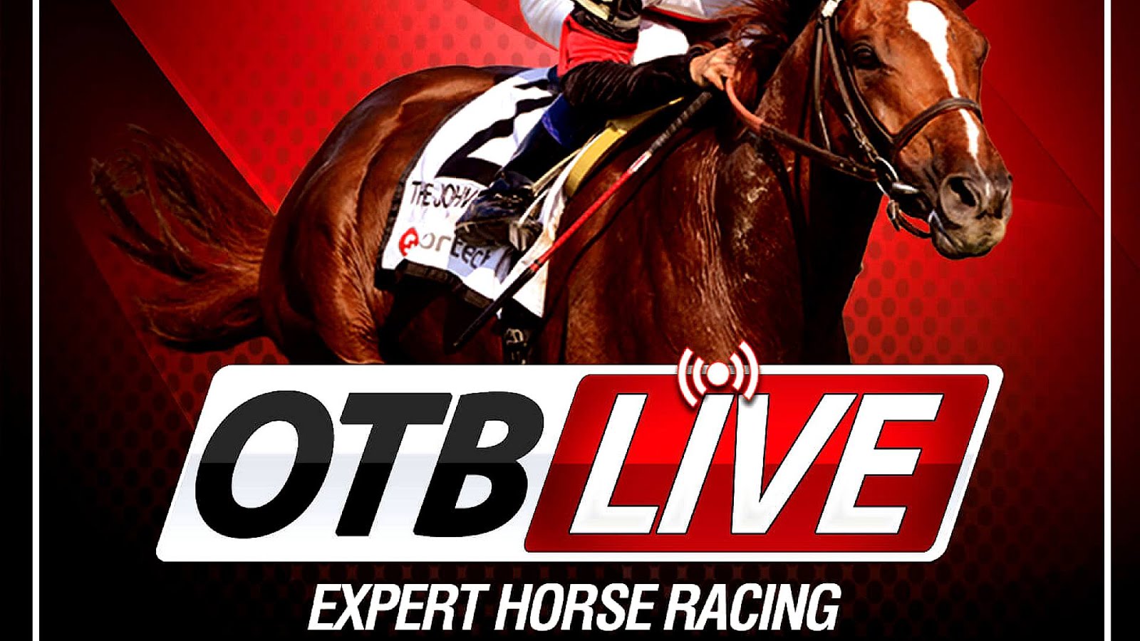 Online Horse Betting Horse Choices